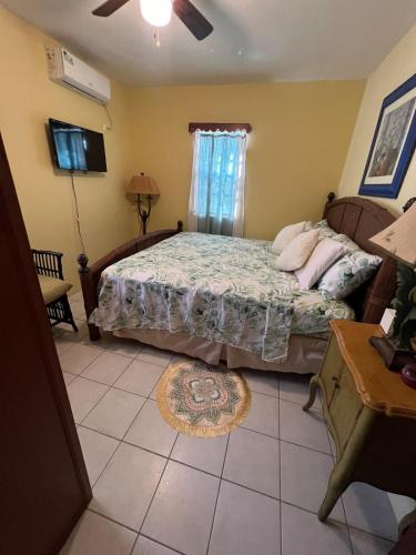 a bedroom with a large bed and a window at Cozy & Convenient Stay Near Beach, Airport & More! in Koolbaai