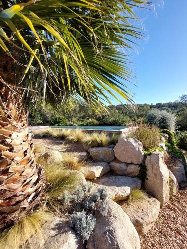 a garden with rocks and a palm tree and a pond at Palombaggia Camara - Lecci Lodge in Lecci