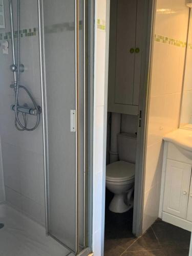 une salle de bain avec toilettes et douche en verre dans l'établissement Résidence Port Nature Colline 5 - Studio pour 2 personnes numéro 529 - Naturiste, au Cap d'Agde
