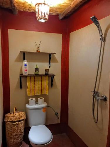 a bathroom with a toilet and a shower at Riad La Perle Tamnougalte in Agdz