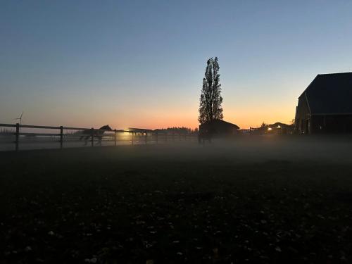 a foggy field with a tree and a fence at sunset at De Cordobahoeve in Tweede Exloërmond