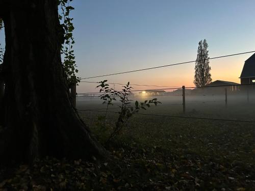 a foggy field with a tree and a fence at De Cordobahoeve in Tweede Exloërmond