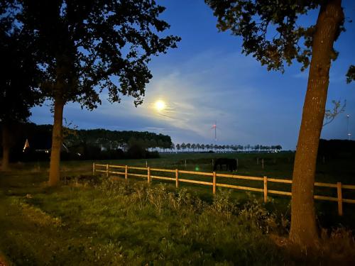 a fence in a field with a cow in the distance at De Cordobahoeve in Tweede Exloërmond