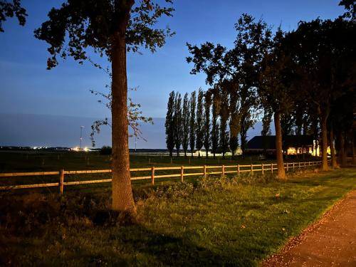 a group of trees in a field next to a fence at De Cordobahoeve in Tweede Exloërmond