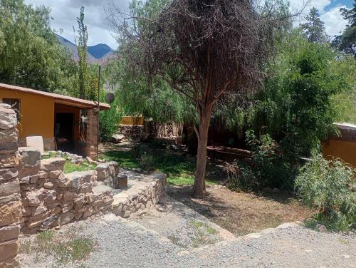 a yard with a tree and a stone wall at La Pirquita in Tilcara