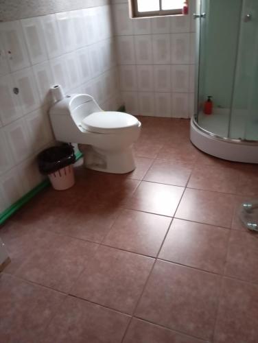 a bathroom with a toilet and a shower at Refugio el Amparo de Paine in El Majuelo