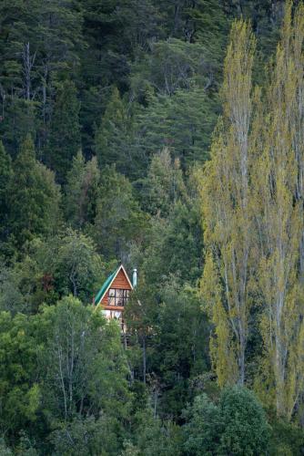 a house in the middle of a forest of trees at Refugio de Montaña Patagonia, pesca, trekking, miradores in Llanada Grande
