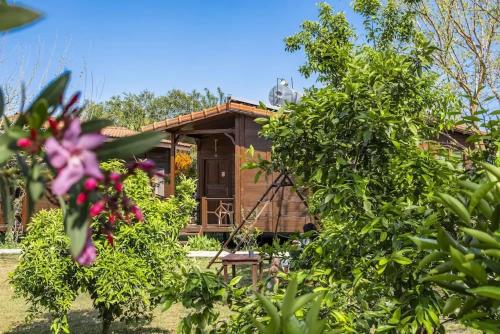 a wooden cabin behind some trees and flowers at Şehri Bungalov Çıralı in Kemer