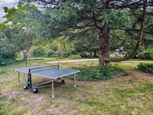 a ping pong table in front of a tree at B&B BienViennue in Marcilly-sur-Vienne
