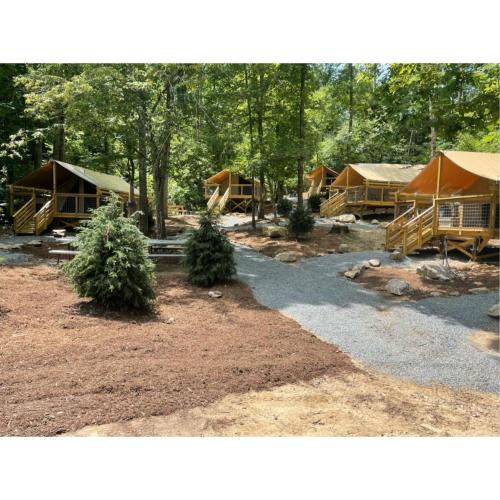 a group of tents in the woods with trees at Wilderness Cove Campground in Saluda