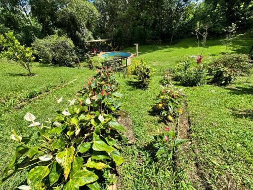 a garden with some plants and flowers in the grass at Finca la soñada in Papagalleros