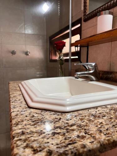 a bathroom counter with a white sink and a vase of roses at Pousada Borghetto – Charme e Exclusividade no Vale dos Vinhedos in Bento Gonçalves