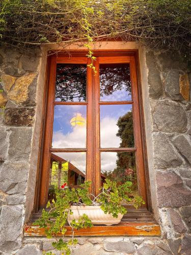 a window with potted plants on a stone wall at Pousada Borghetto – Charme e Exclusividade no Vale dos Vinhedos in Bento Gonçalves