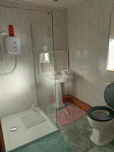 a bathroom with a shower and a toilet and a sink at The Studio in Dublin