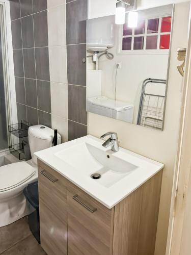 a bathroom with a sink and a toilet and a mirror at Appartement Le Puy Courny, 2 lits, 28m2, wifi in Aurillac