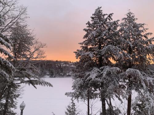a winter view of a lake with snow covered trees at Sunrise Bay in Alton Bay
