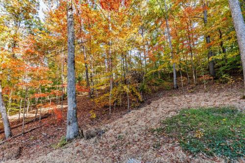 a forest with colorful trees in the fall at Throw'n Shade at The Red in Stanton