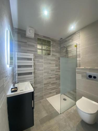 a bathroom with a toilet and a sink and a shower at La grange d'Abel in Boissières
