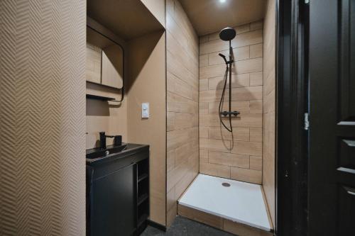 La petite salle de bains est pourvue d'une douche et d'un lavabo. dans l'établissement Colonial Insolite HautDeGamme Jacuzzi Privatif, à Mulhouse