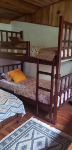 a room with two bunk beds in a cabin at Papaya Wildlife Lodge in Cahuita