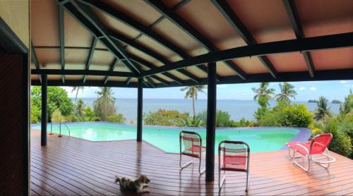 a cat sitting on a deck next to a swimming pool at Garden Of Eden in Matei