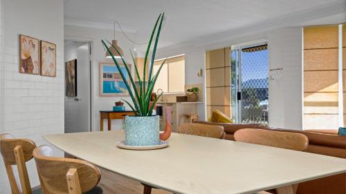 a table with a potted plant on top of it at Hoppy's Place in Sawtell
