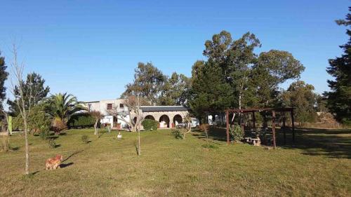 a field with a building and trees and a house at Chacra Mahatma in Tacuarembó