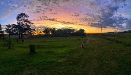 a person sitting in a field at sunset at Chacra Mahatma in Tacuarembó