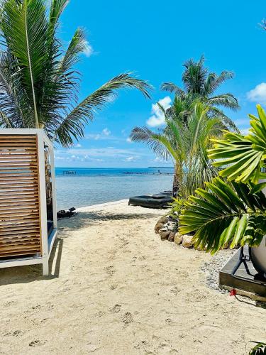 a sandy beach with palm trees and the ocean at Pension Irivai, appartement UO UO 3 chambres vue mer in Uturoa
