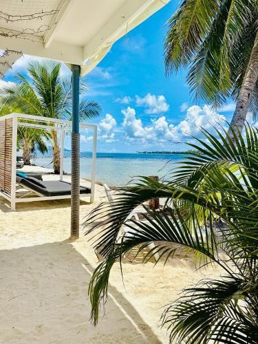 a view of a beach with a swing and the ocean at Pension Irivai appartement PUATOU 1 chambre bord de mer in Uturoa