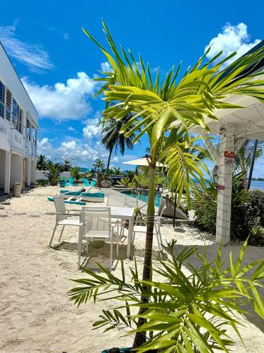 a table and chairs on a beach with a palm tree at Pension Irivai, Appartement RAVA 1 chambre bord de mer in Uturoa