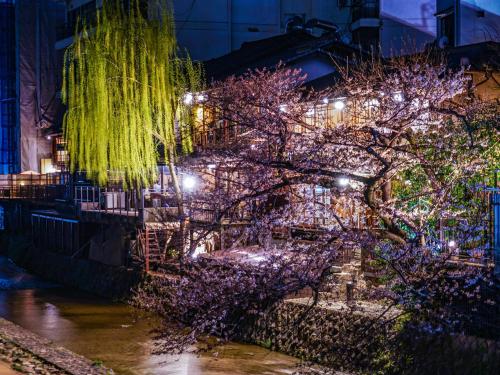 a christmas tree with lights on a building at Kansei 京都八条 in Kyoto