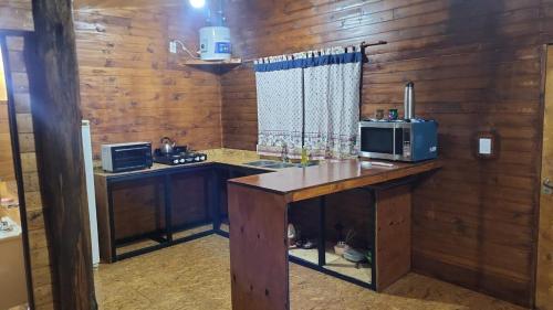 a kitchen with a counter with a microwave on it at Cabaña La 40 "Relax y descanso en zona de chacras" in Buta Ranquil