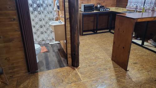 a bathroom with a sink and a toilet in a room at Cabaña La 40 "Relax y descanso en zona de chacras" in Buta Ranquil