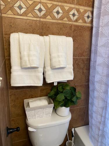 a bathroom with a toilet with towels and a plant at Casa ubicada 6 minutos del centro 6 minutes to Downtow No permited partys or smoking in Milwaukee