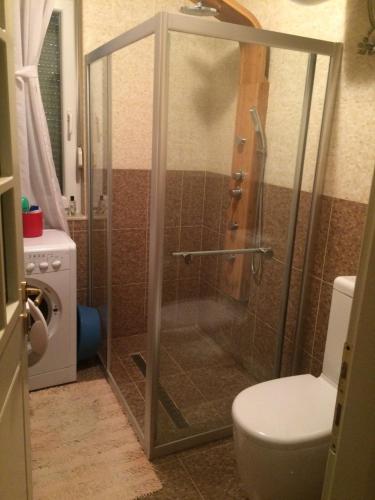 a shower stall in a bathroom with a toilet at Apartment Eurocoli Rezidence in Golem