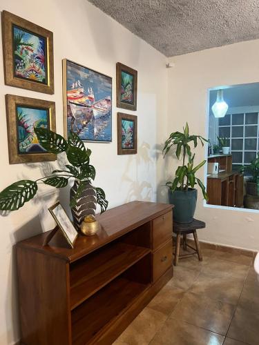 テラにあるCasa Estrella de marの木製のキャビネットと鉢植えの植物がある部屋