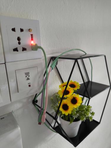 a plant in a glass box with flowers in it at LittleBee Homestay KT in Kota Tinggi