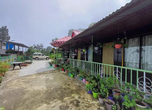 a row of potted plants in front of a building at Nivvana Homestay By StayApart in Lava