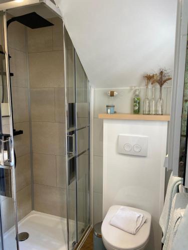 La salle de bains est pourvue d'une cabine de douche et de toilettes. dans l'établissement Cosy courtyard apartment within 15min walk from old town, à La Rochelle