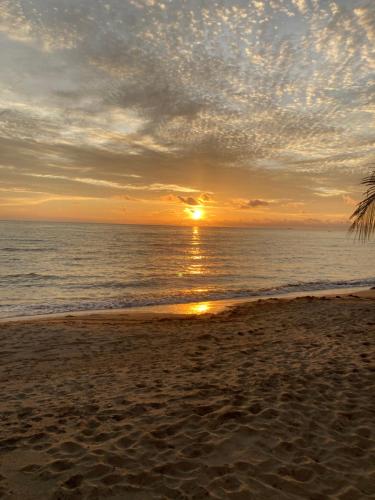 a sunset on the beach with a palm tree at Sakâ Sakâ Beach House in Sipalay