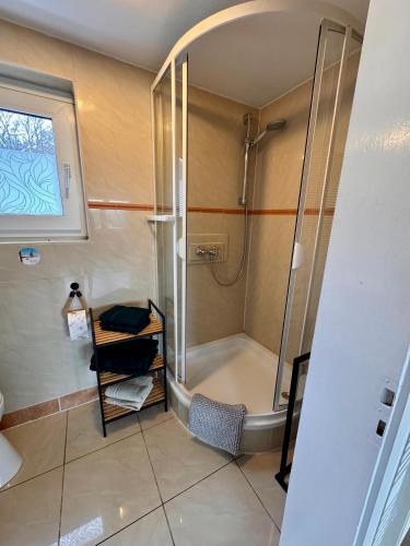 a bathroom with a shower with a glass door at Dat Höhnerstübche in Siegen