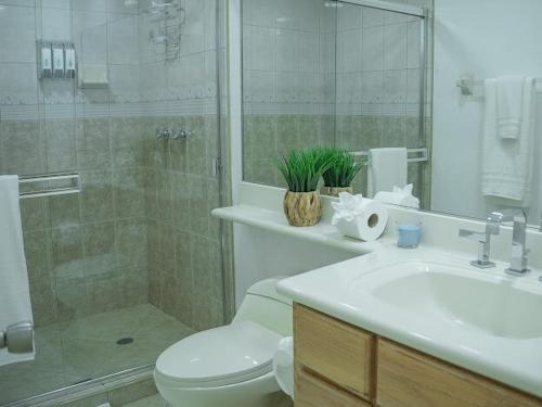 a bathroom with a shower and a toilet and a sink at ESCAPADA AL MAR Departamento el Rosarito in Rosarito Beach