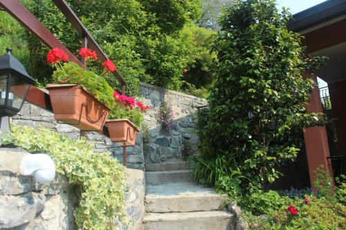 a set of stairs with flowers and plants at Bellavista garden and flowers in Varenna