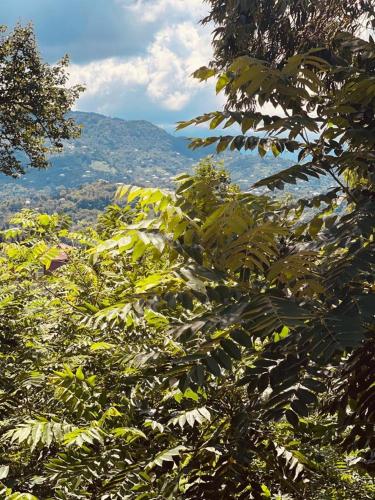 Fotografie z fotogalerie ubytování Natia's house v destinaci Tsikhisdziri