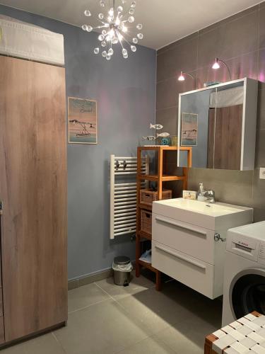 łazienka z umywalką i pralką w obiekcie 21 - Très agréable rdc avec terrasse et parking w mieście Bandol