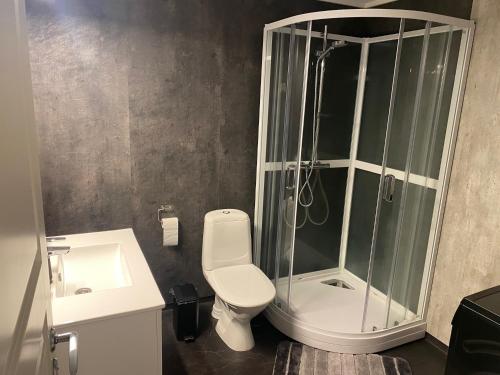 a bathroom with a shower and a toilet and a sink at Arctic Seafront apartment in Kirkenes