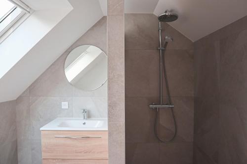 une salle de bain avec une douche avec un lavabo et un miroir dans l'établissement Duplex Harmonie proche frontière, à Huningue