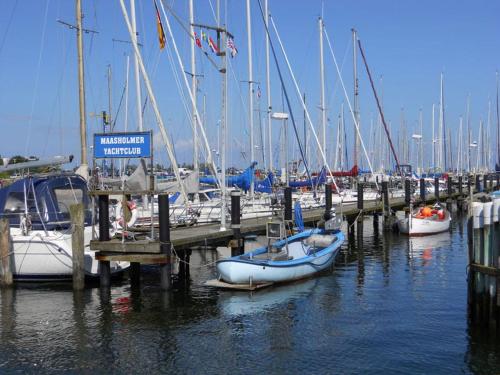 a group of boats docked at a marina at Ferienwohnung mit Balkon und Schleiblick in Maasholm