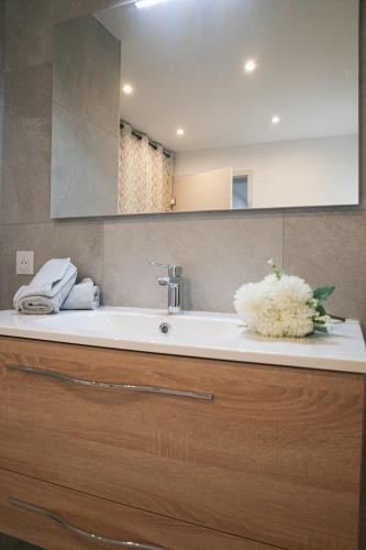 une salle de bain avec un lavabo et un miroir dans l'établissement Plaisir partagé Apartment, à Huningue